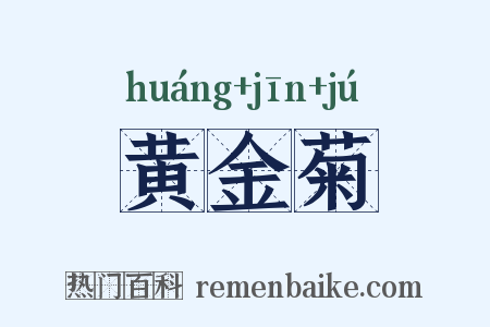 黄金菊是什么意思的图片
